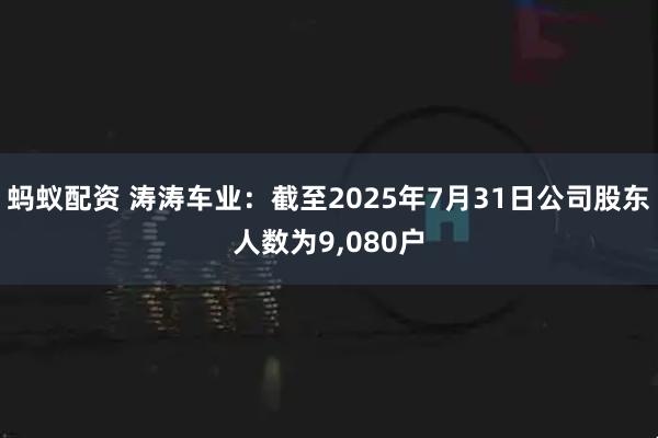 蚂蚁配资 涛涛车业：截至2025年7月31日公司股东人数为9,080户